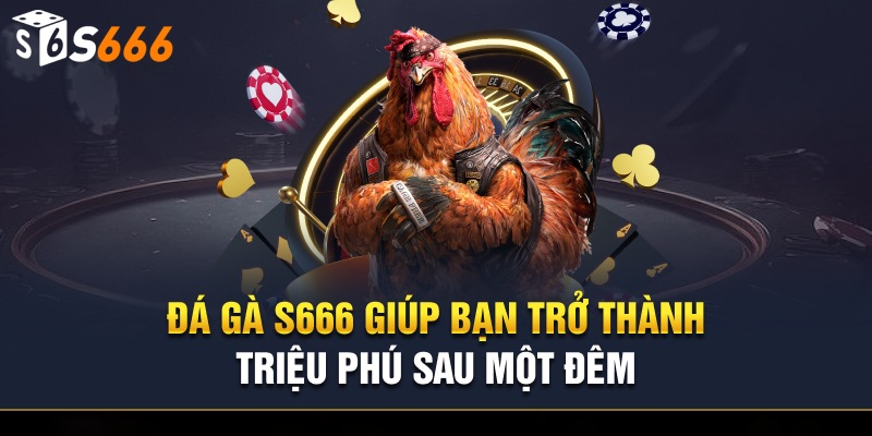 Tìm hiểu đá gà S6666